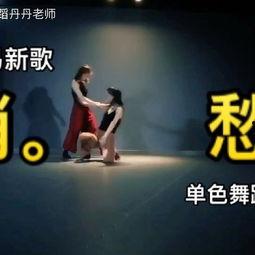 成人舞团现代舞蹈视频,成人舞团舞蹈视频赏析