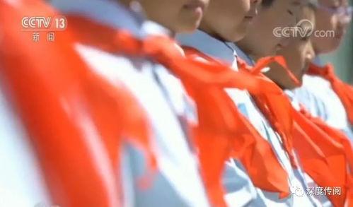 成人佩戴红领巾的视频,成人佩戴红领巾的庄严时刻