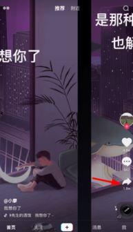 成人朗诵素材合拍视频大全,成人朗诵素材合拍视频精选集锦