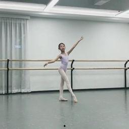 芭蕾变奏 成人舞蹈视频,成人舞蹈视频深度解析