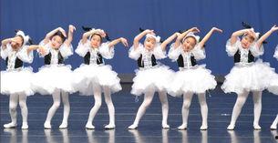 舞蹈服成人飘逸视频教程,轻松掌握优雅舞步